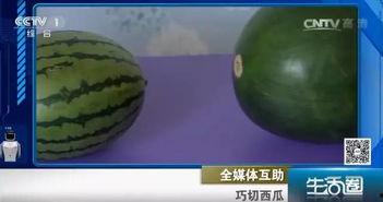 吃瓜不吐籽吃瓜,揭秘瓜果美食的独特魅力