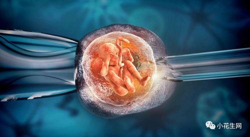 打胎吃瓜事件图片,一场网络舆论的漩涡与反思