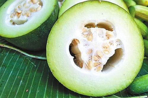 咸瓜隔天可以吃,美味与安全的双重享受