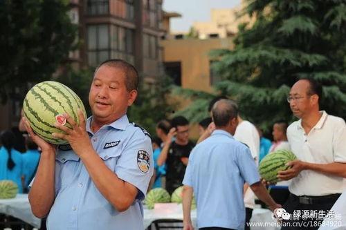 专业吃瓜现场,一场视觉与味觉的双重盛宴