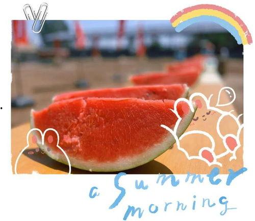 专业吃瓜现场,一场视觉与味觉的双重盛宴