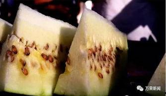 吃瓜看老梁,揭秘娱乐圈背后的故事与真相