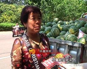 吃瓜群众岱岱合集密码,揭秘“吃瓜群众岱岱”合集密码背后的故事