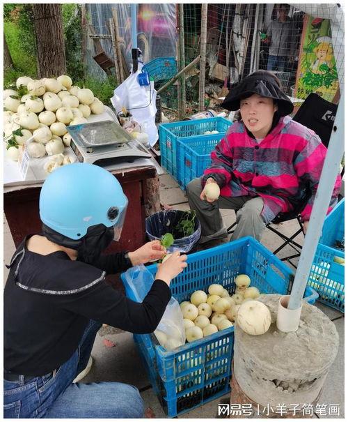 温州疫情吃瓜,吃瓜群众视角下的防疫战记