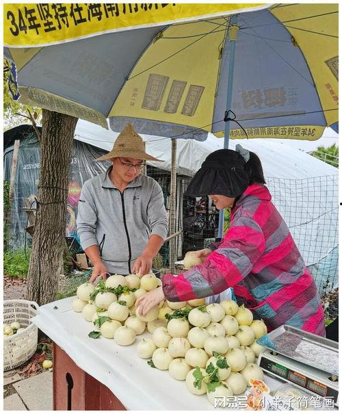 温州疫情吃瓜,吃瓜群众视角下的防疫战记