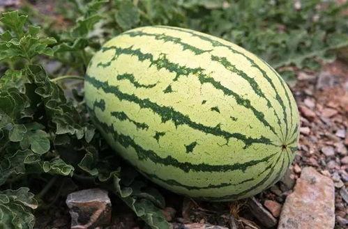 带你吃瓜绝密档案,探寻娱乐圈幕后真相