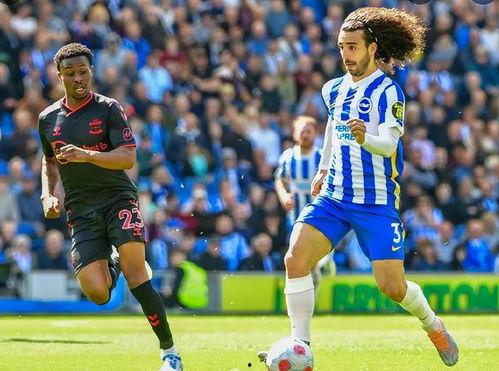 布莱顿吃瓜,揭秘吃瓜群众的狂欢盛宴