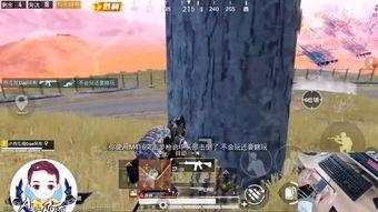 和平精英圈子吃瓜,揭秘吃瓜背后的精彩故事