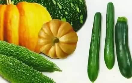 什么叫卖瓜吃瓜,揭秘瓜农的甜蜜生活