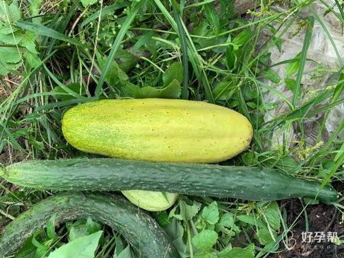 婆爷吃瓜,揭秘娱乐圈背后的那些事儿