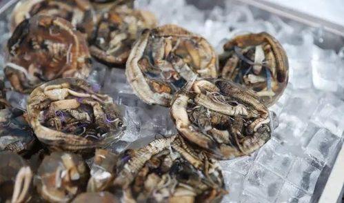 虎扑吃瓜避雷,轻松识别网络谣言，守护你的网络生活