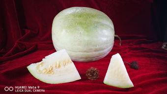 孕期吃三白瓜,三白瓜助力母婴健康