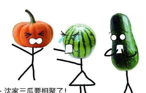 情缘吃瓜,揭秘娱乐圈甜蜜背后的秘密