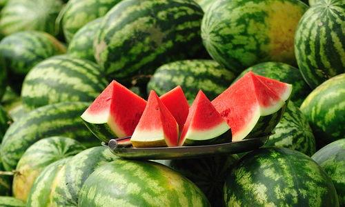 瓜哥哥带你吃西瓜