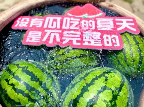 吃瓜31,一场全民热议的瓜界盛宴