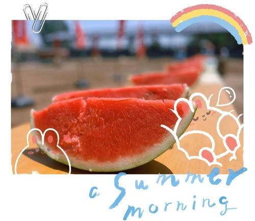 吃瓜31,一场全民热议的瓜界盛宴