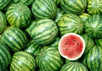 深圳处c门吃瓜,一场别开生面的“吃瓜”盛宴