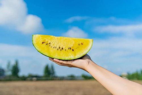 吃瓜卡网,网络舆论场中的“瓜田”盛景