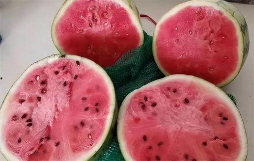 吃冰麒麟瓜,冰麒麟瓜，清凉一夏的甜蜜邂逅