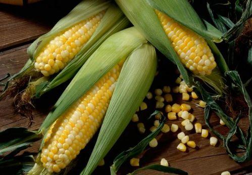 玉米男孩吃瓜,玉米男孩的夏日瓜趣之旅