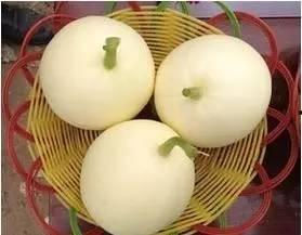 现在吃小白瓜好吗,现在吃小白瓜正当时