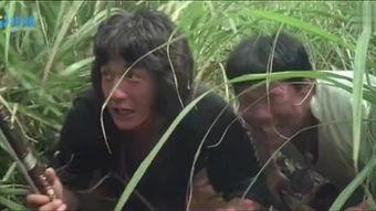 龙公子吃瓜视频,揭秘娱乐圈幕后故事