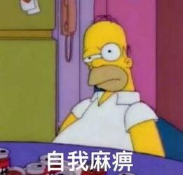 布偶打架吃瓜图片