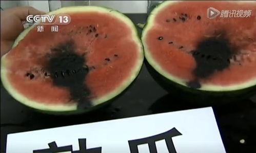 吃瓜预告文字视频,视频内容抢先看，精彩瞬间不容错过