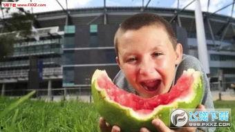 大爷吃瓜表情包图片,笑料横生的瞬间捕捉