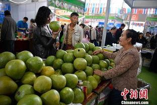 北方吃蜜瓜,夏日清凉味蕾之旅
