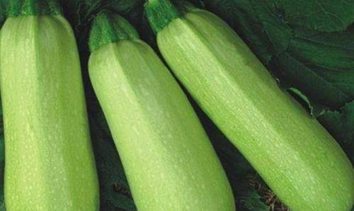 创伤可以吃茭瓜