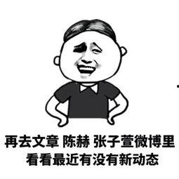 职业吃瓜群众33,揭秘网络红人的幕后生活