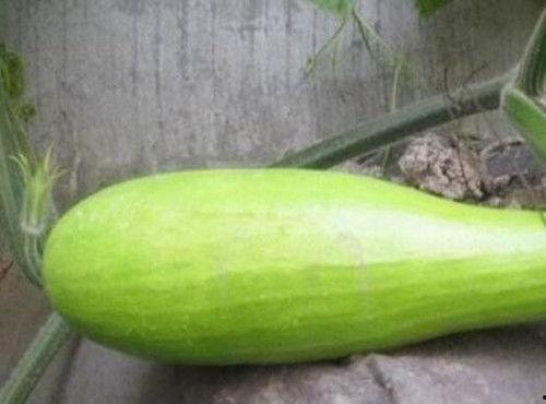 砍瓜冬天怎么吃,探索砍瓜的多样食用方法