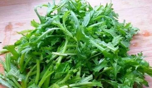 吃瓜扒皮狼茼蒿,茼蒿背后的故事与真相