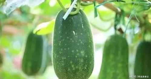 某月在线吃瓜,某月在线吃瓜狂欢记