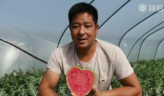 吃瓜520,揭秘娱乐圈甜蜜背后的秘密