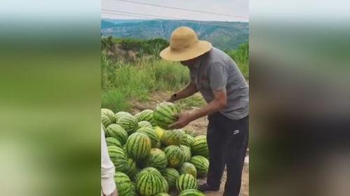 一个吃瓜游客,一场别开生面的旅游体验