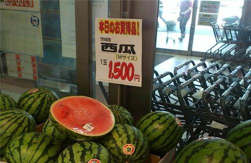 一个吃瓜游客,一场别开生面的旅游体验