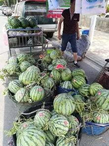 偃师最新吃瓜事件,揭秘背后真相与网络舆论风暴