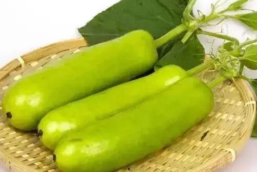 葫芦瓜可以吃吗,美味与营养并存的天然食材