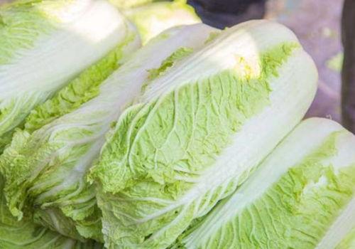 柏乡吃大瓜,品味传统美食，探寻乡村风情