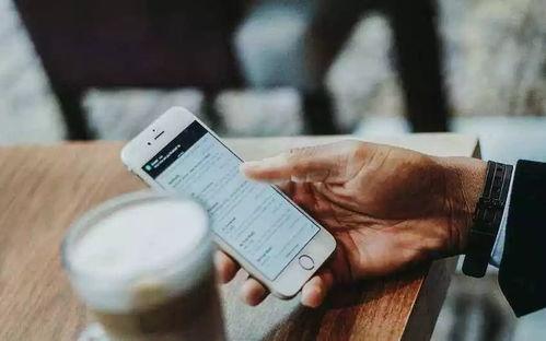 新余吃瓜不付钱视频,一场引发热议的街头奇观