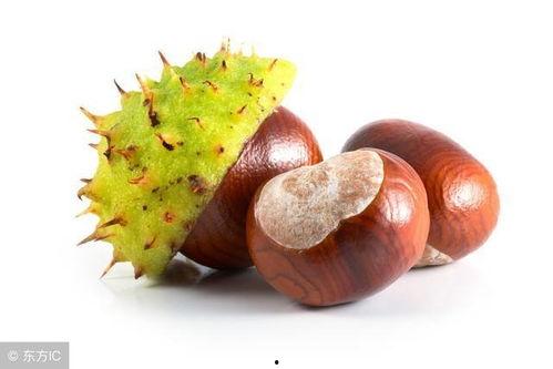 吃板栗可以吃茭瓜吗,探寻美味搭配的奥秘