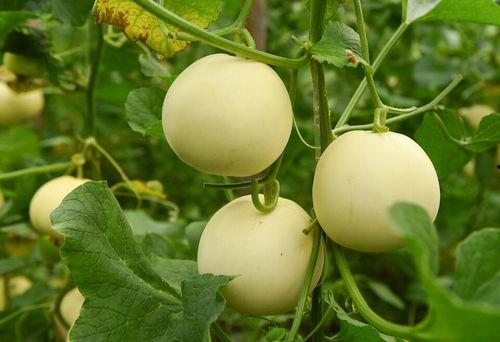 每天各种吃瓜,娱乐圈幕后故事大盘点