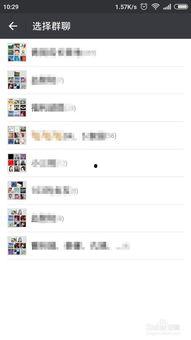 怎样找到吃瓜群聊,揭秘如何找到热门吃瓜群聊