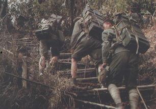 开炮吃瓜视频大全,盘点热门视频大全