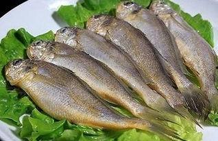 小黄鱼吃瓜,一场与瓜果的美食邂逅