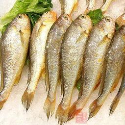 小黄鱼吃瓜,一场与瓜果的美食邂逅