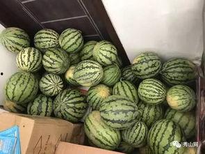 胶南吃瓜群,揭秘网络社交圈的趣味与争议