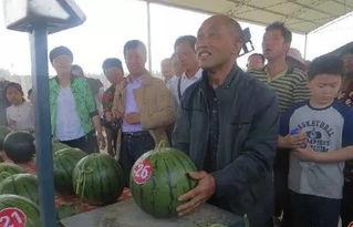 柳州bbr吃瓜群众,吃瓜群众视角下的热议焦点